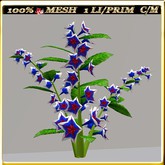 LW_JapaneseBallonFlowersWhite