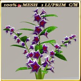 LW_JapaneseBallonFlowersWhite