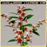 LW_JapaneseBallonFlowersWhite