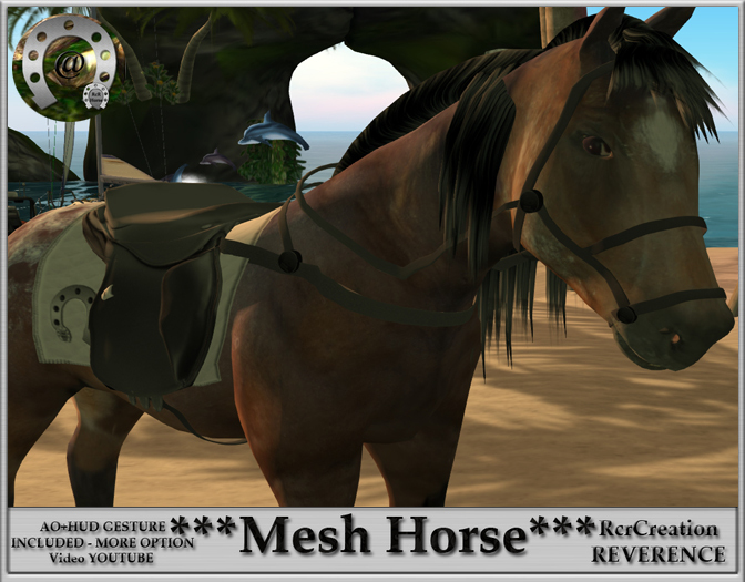 Complete avatar  Appaloosa Horse Mesh