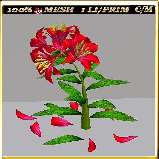 LW_LilyFlowerFuschia