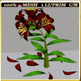 LW_LilyFlowerFuschia