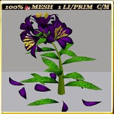 LW_LilyFlowerFuschia