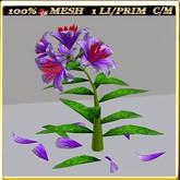 LW_LilyFlowerFuschia