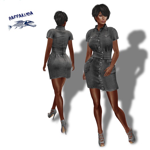 Mesh Ladies Denim Tunic Dress V2 PROMO