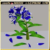 LW_LilyFlowerFuschia