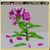 LW_ Stargazer Lily - 33 (1 LI / Prim)