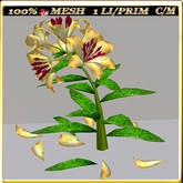 LW_LilyFlowerFuschia