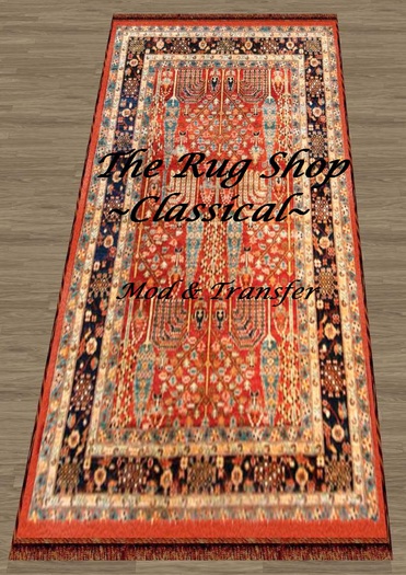 Classical Persian Worn Rug_09 