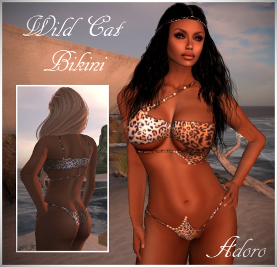 Wild Cat Bikini in Box