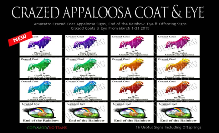 CRAZED APPALOOSA COAT & EYE SIGNS