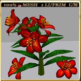 LW_LilyFlowerFuschia