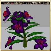 LW_LilyFlowerFuschia