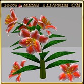 LW_LilyFlowerFuschia