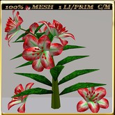 LW_LilyFlowerFuschia