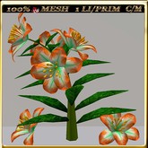 LW_LilyFlowerFuschia