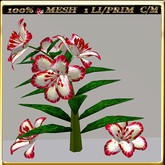 LW_LilyFlowerFuschia