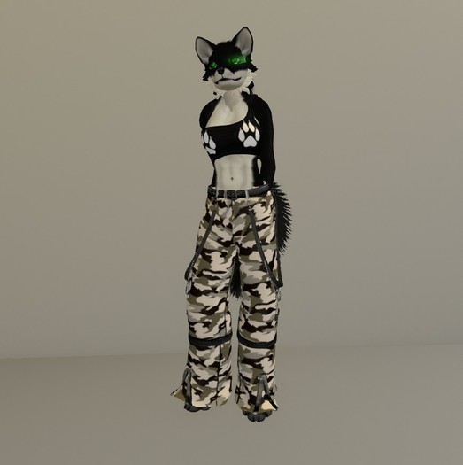 tenue militaire