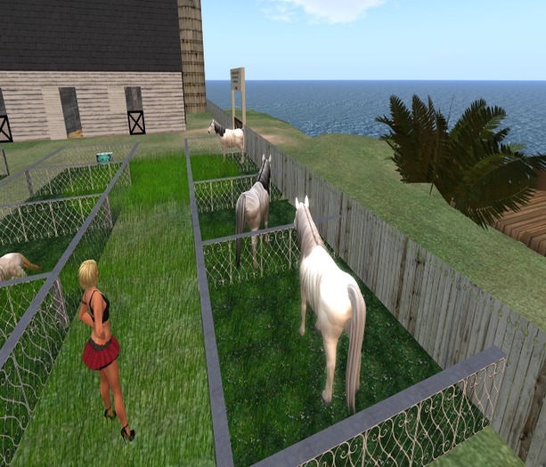 HORSE PEN 5M