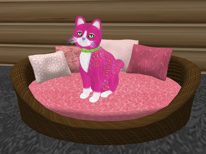 Catbed pink