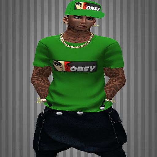 OBEY GREEN MALE SHIRT IN HAT