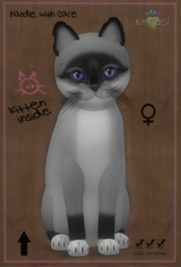 ♀ 8T Foxie Salt & Pepper Mask Midnight Sky Curious Small Illume Shorty Odyssey Boo Boo Black Plush