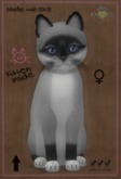 ♀ 8T Foxie Salt & Pepper Mask Midnight Sky Curious Small Illume Shorty Odyssey Boo Boo Black Plush