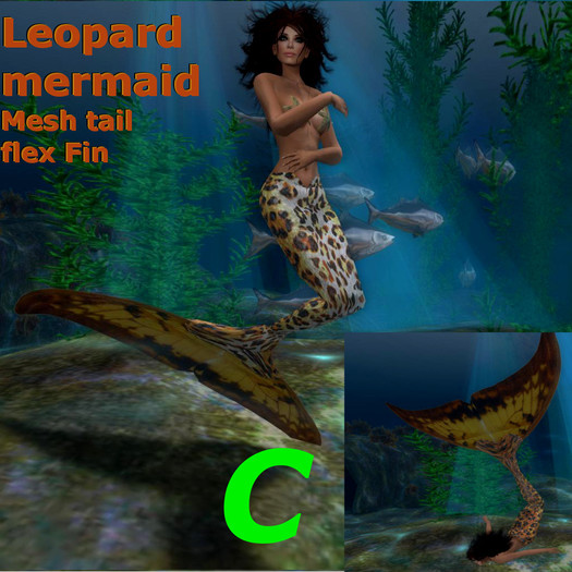 (SM)_leopard mermaid