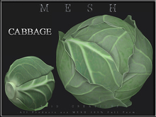T-3D Creation [Button] MESH - Full Perm