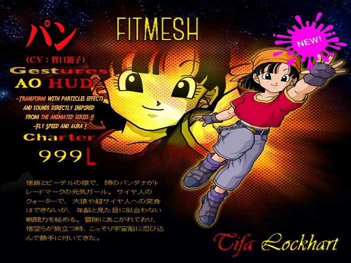 Pan FitMesh Charter Complet Vers. 2.0 (Boxed)