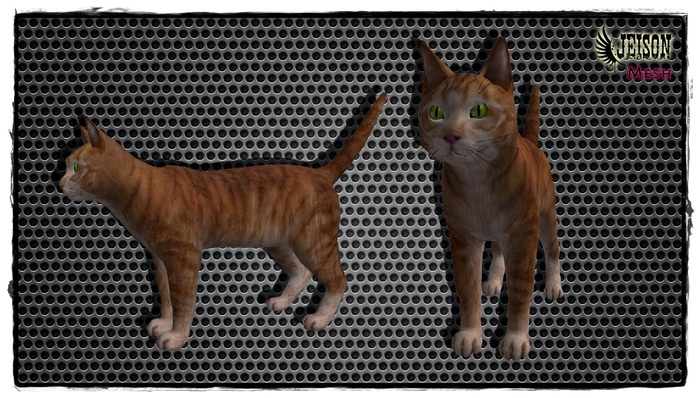 Cat Mesh (with sound) [boxed]