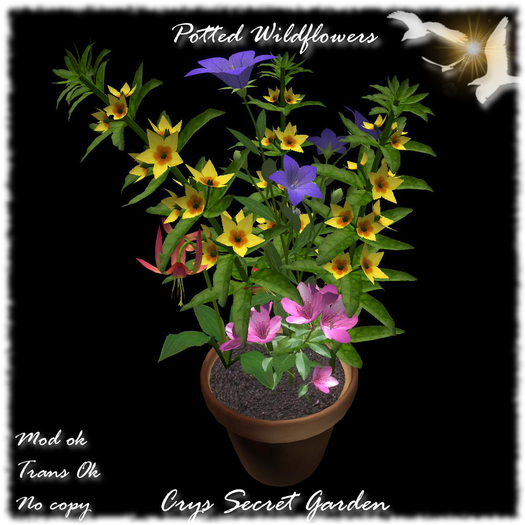 (CsG) Potted Wildflowers
