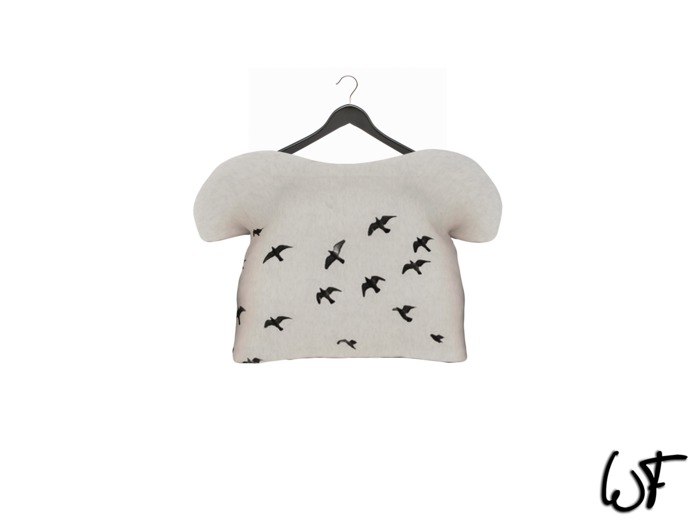 Wall Flower Cropped Shirt, DEMO