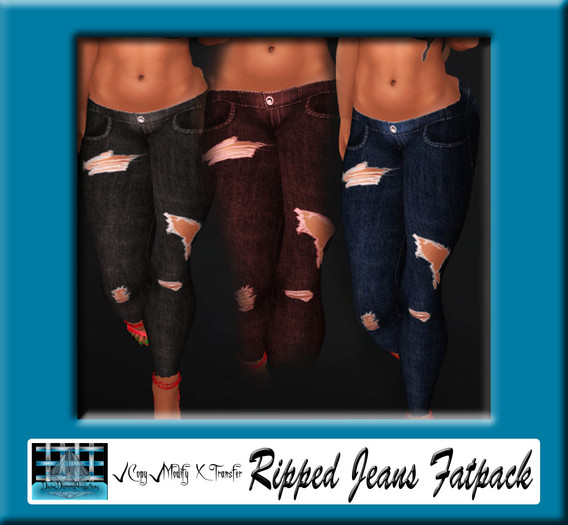 Ripped Jeans Fatpack (App Inc)