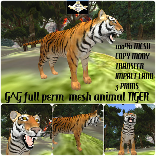 G^G full perm  mesh animal TIGER