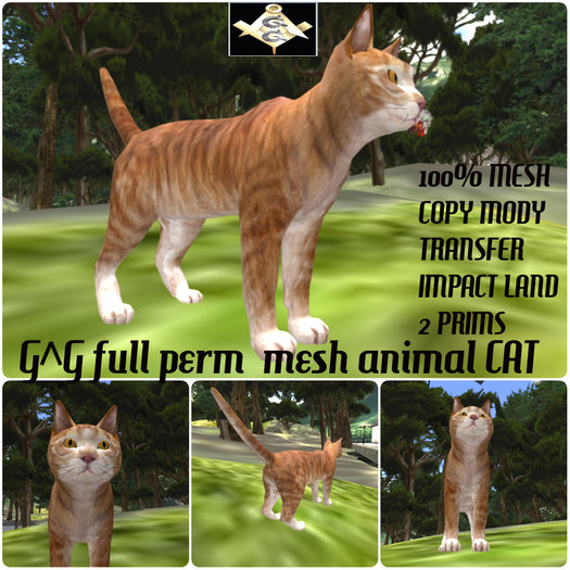 G^G full perm  mesh animal CAT
