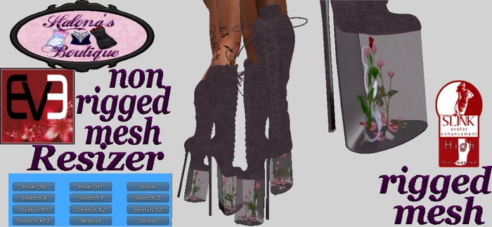 (o)(o) Roses Purple
