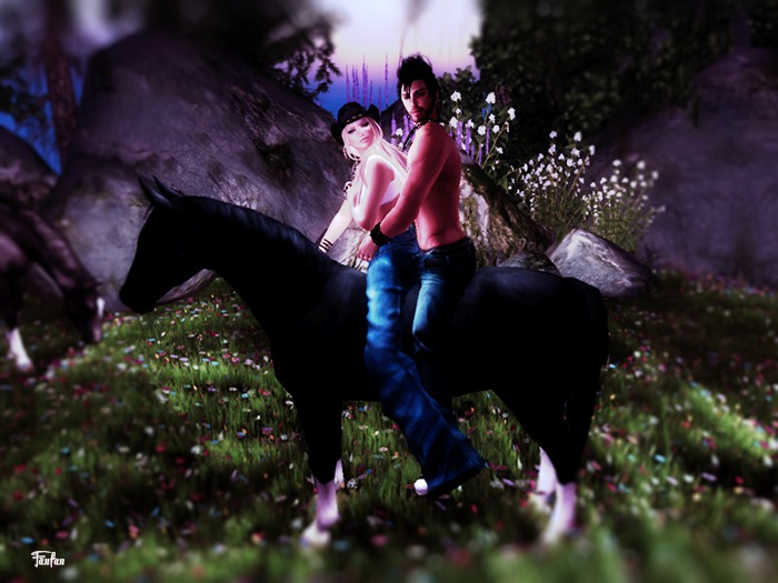 FMS POSES Horse