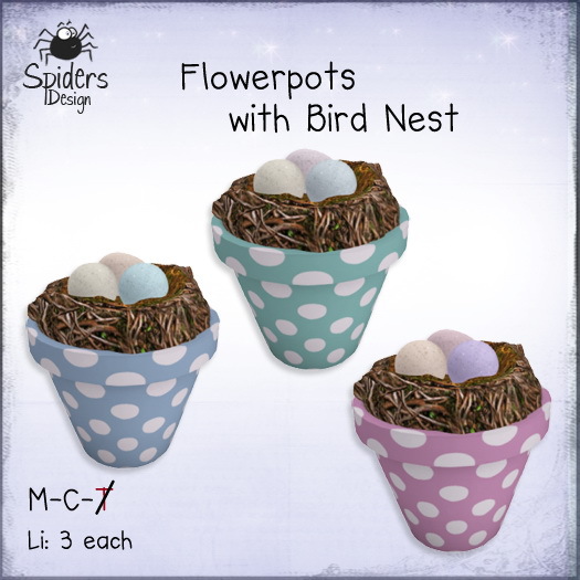 (SD) Flowerpots wih Bird's Nest