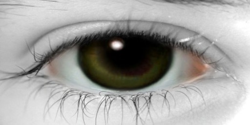 *(OO)*YUKI_Elsa Eye Brown