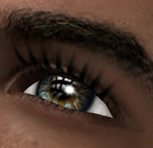 ATLASH - Masculine Look Eyelashes For Men (Gift Bagged)