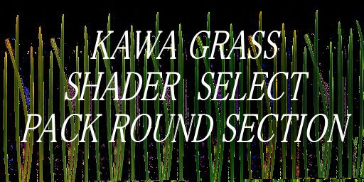 1 prim 20 pcs Poppy Field Wild Version (Boxed)