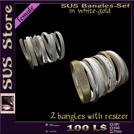 SUS Bangles (white-gold) boxed
