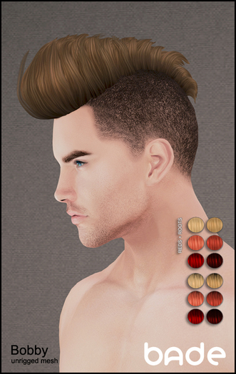 [bade] Bobby REDS