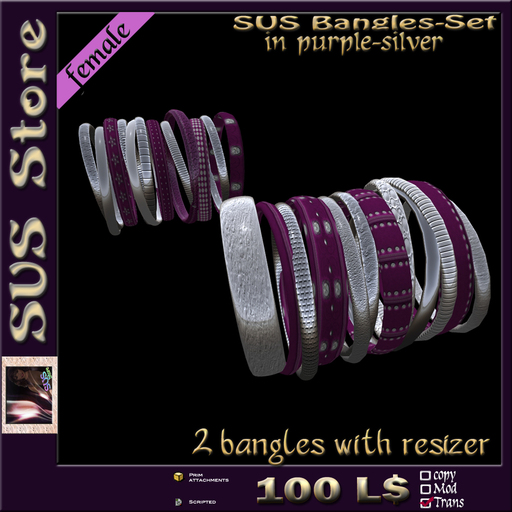 SUS Bangles (purple-silver) boxed