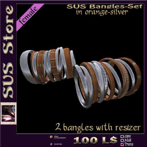 SUS Bangles (orange-silver) boxed