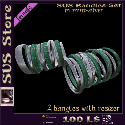 SUS Bangles (mint-silver) boxed