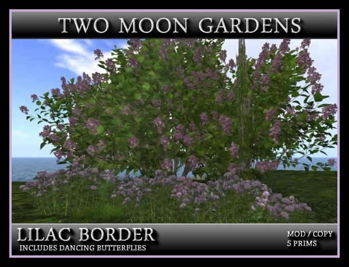 LILAC BORDER* A Little bit of Landscape