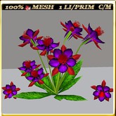 LW_ Columbine Flowers 20 (1 LI / Prim)