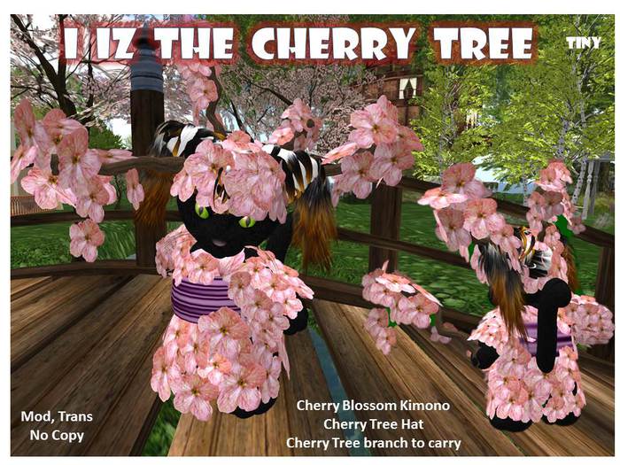 I Iz the Cherry tree Box Tiny
